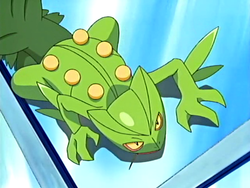 Sceptile - #254 -  Pokédex