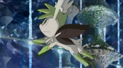 Shaymin Sky Forme v.2: Shining  Dog pokemon, Shiny pokemon, Cool