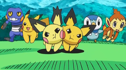 Pokemon 6029 Shiny Pikachu Libre Pokedex: Evolution, Moves