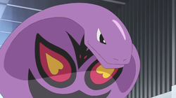 Pokemon 10786 Shiny Mega Tapu Koko Brawler Pokedex: Evolution, Moves,  Location, Stats