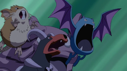 Pokemon 8169 Mega Crobat Pokedex: Evolution, Moves, Location, Stats