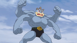 Bruno's Machamp, International Pokédex Wiki