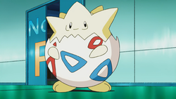 Pokemon 2175 Shiny Togepi Pokedex: Evolution, Moves, Location, Stats