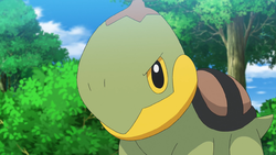 Pokemon 388 Grotle Pokedex: Evolution, Moves, Location, Stats