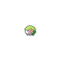 shiny shaymin land form