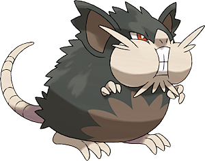 Pokemon 16020 Alolan Raticate Pokedex: Evolution, Moves, Location