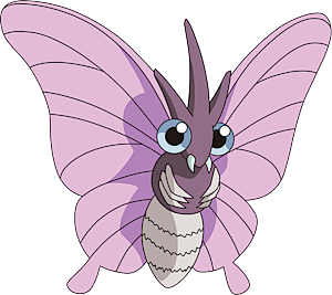 Pokemon 49 Venomoth Pokedex: Evolution, Moves, Location, Stats