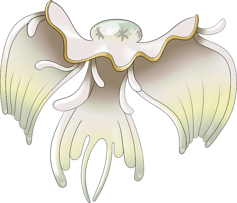 Pokemon 10793 Shiny Mega Nihilego Pokedex: Evolution, Moves