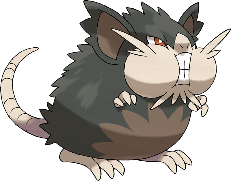 Pokémon Sun and Moon' Alola forms include Raticate