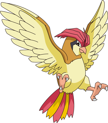 Pokemon Pidgey Evolution Chart