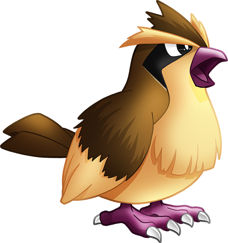 pokemon pidgey evolution chart