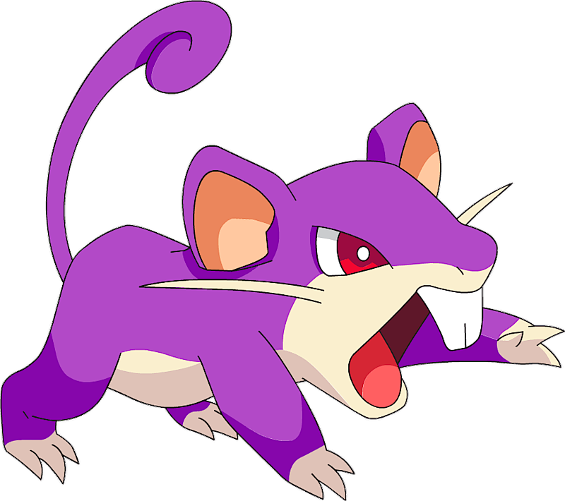 rattata pokemon evolution chart