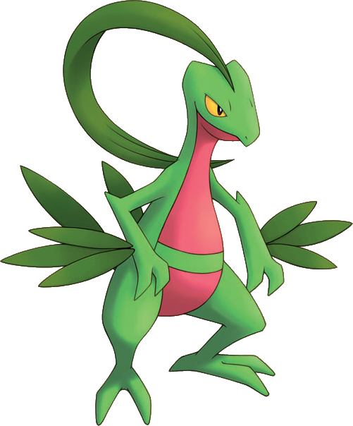 Pokemon 253 Grovyle Pokedex: Evolution, Moves, Location, Stats